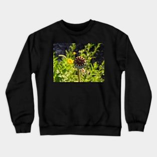 Ripening poppy seed head Crewneck Sweatshirt